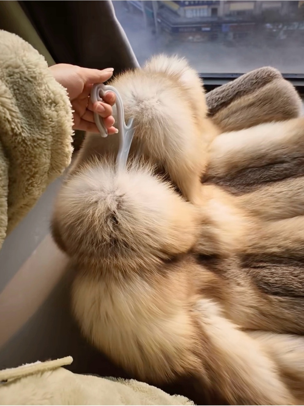 Luxurious hooded Golden island Fox Jacket - Picture 3 of 6